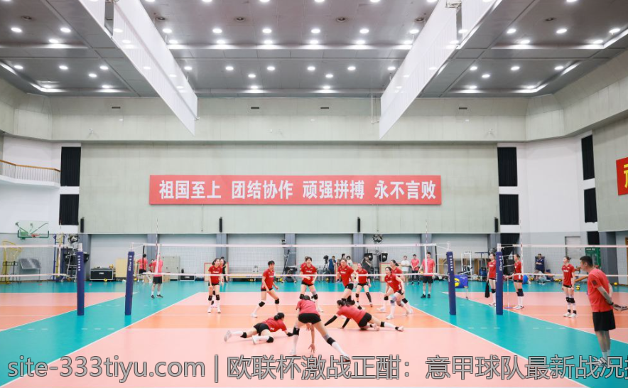 欧联杯激战正酣：意甲球队最新战况揭秘