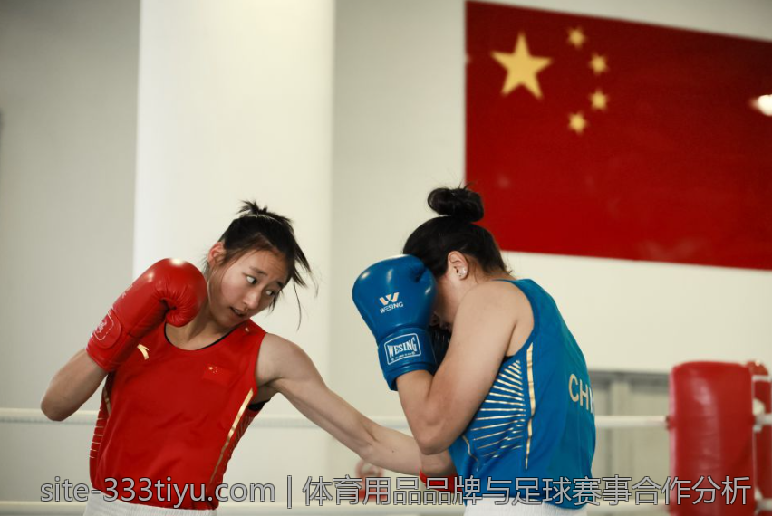 体育用品品牌与足球赛事合作分析