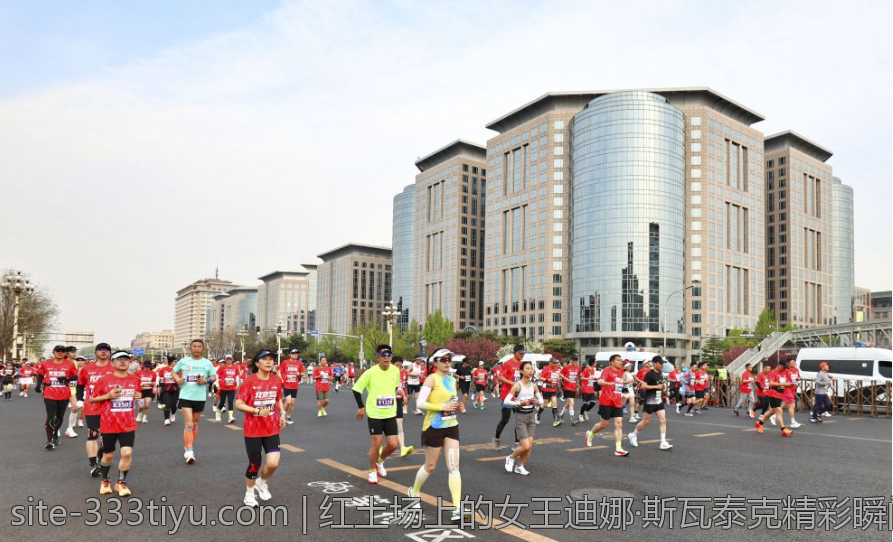 红土场上的女王迪娜·斯瓦泰克精彩瞬间回顾